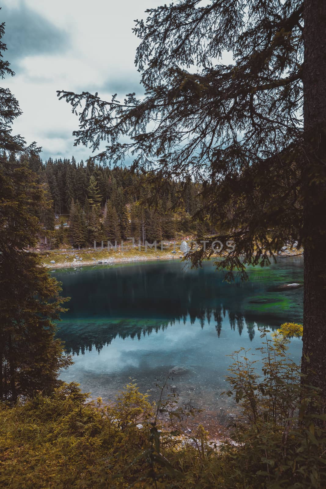 landscape the wild nature lake Misurina in the Alps