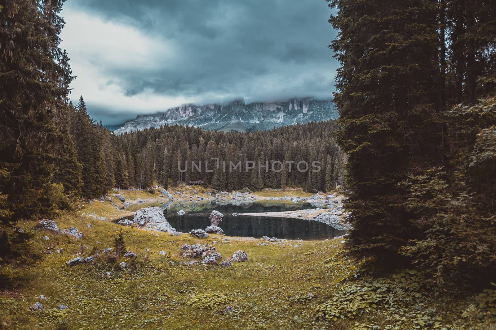 landscape the wild nature lake Misurina in the Alps