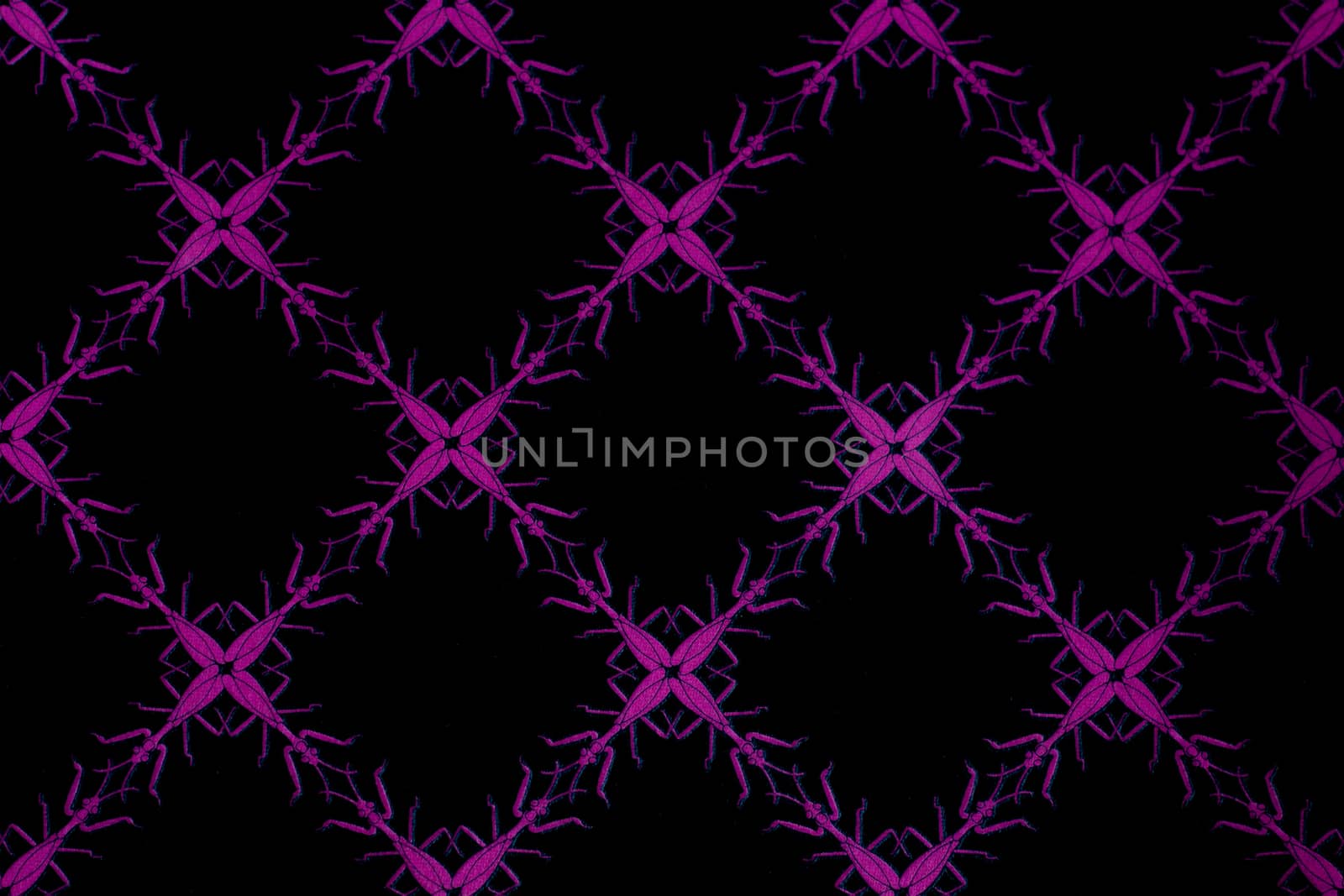 Ornamental floral background of pink purple on black