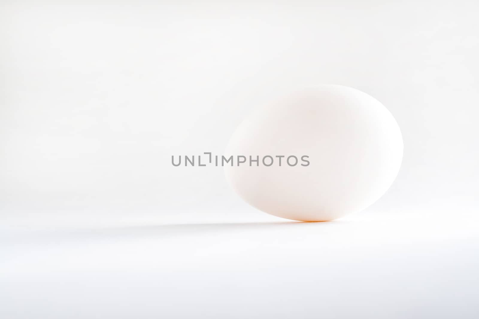 one white egg isolated white background.