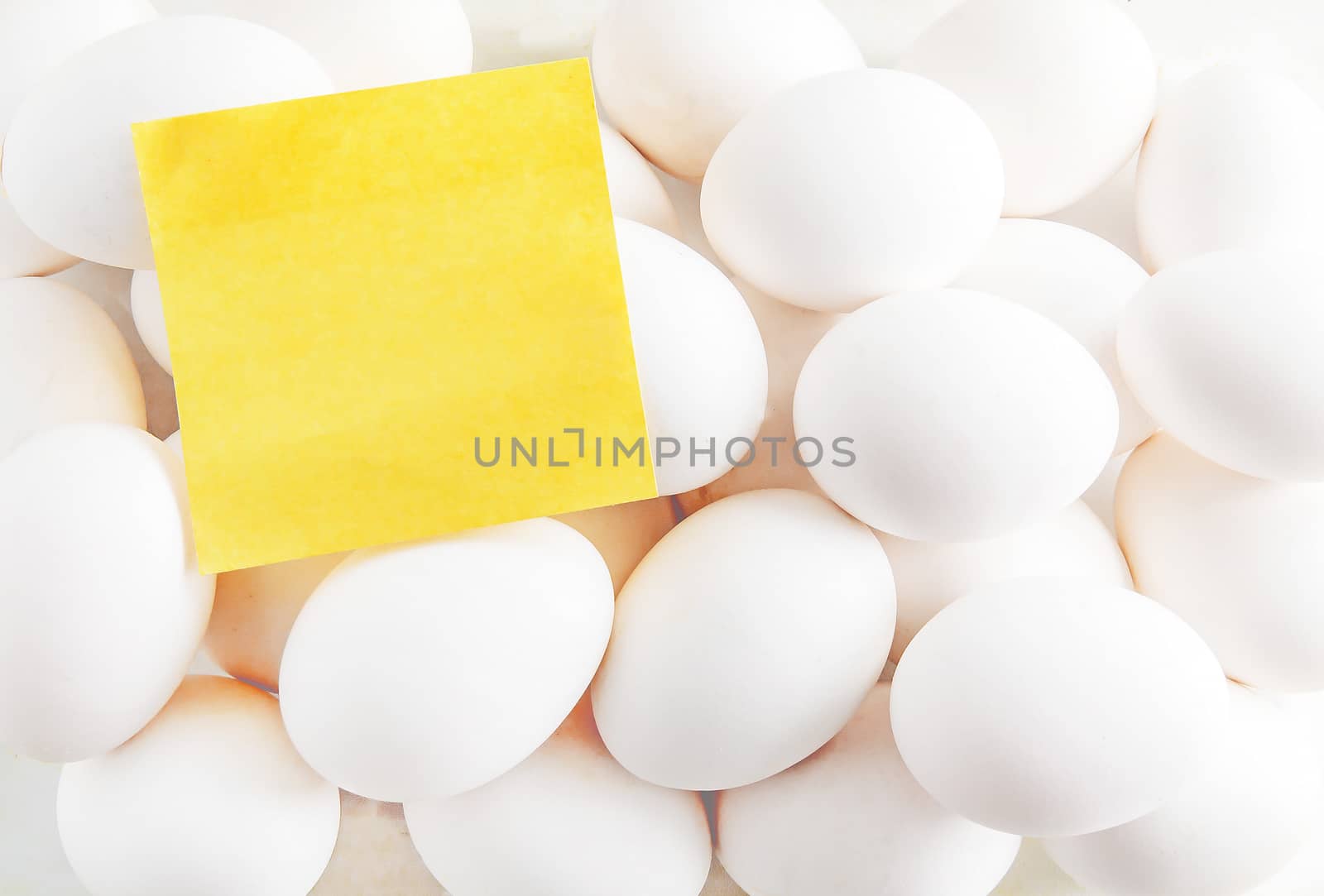 blank yellow sticker on the background of white eggs/