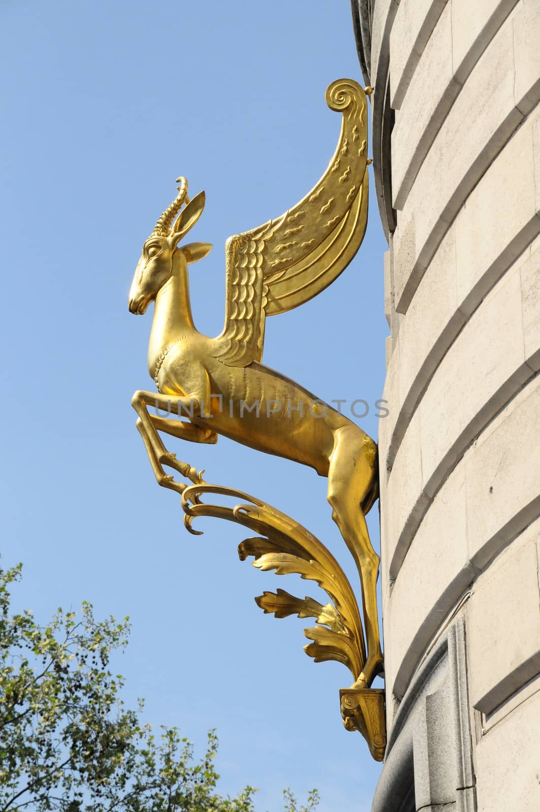 Golden springbok on wall of South Africa house







Lomndon,Trafalgar Square,Soth Africa house,springbok.gold ,golden colour,wings,winged,republic,Capetown.Johannesburg,London office,head office,embassy,representatives,South African