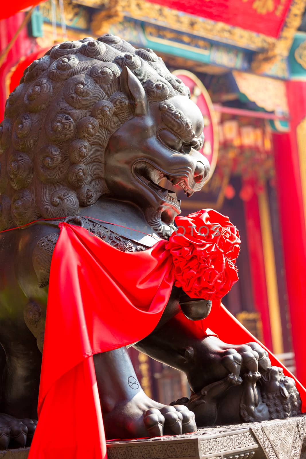 Chinese lion statue by leungchopan