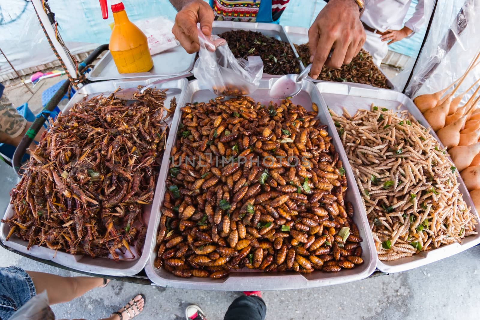 Fried insects, Bugs fried on Street food in thailand