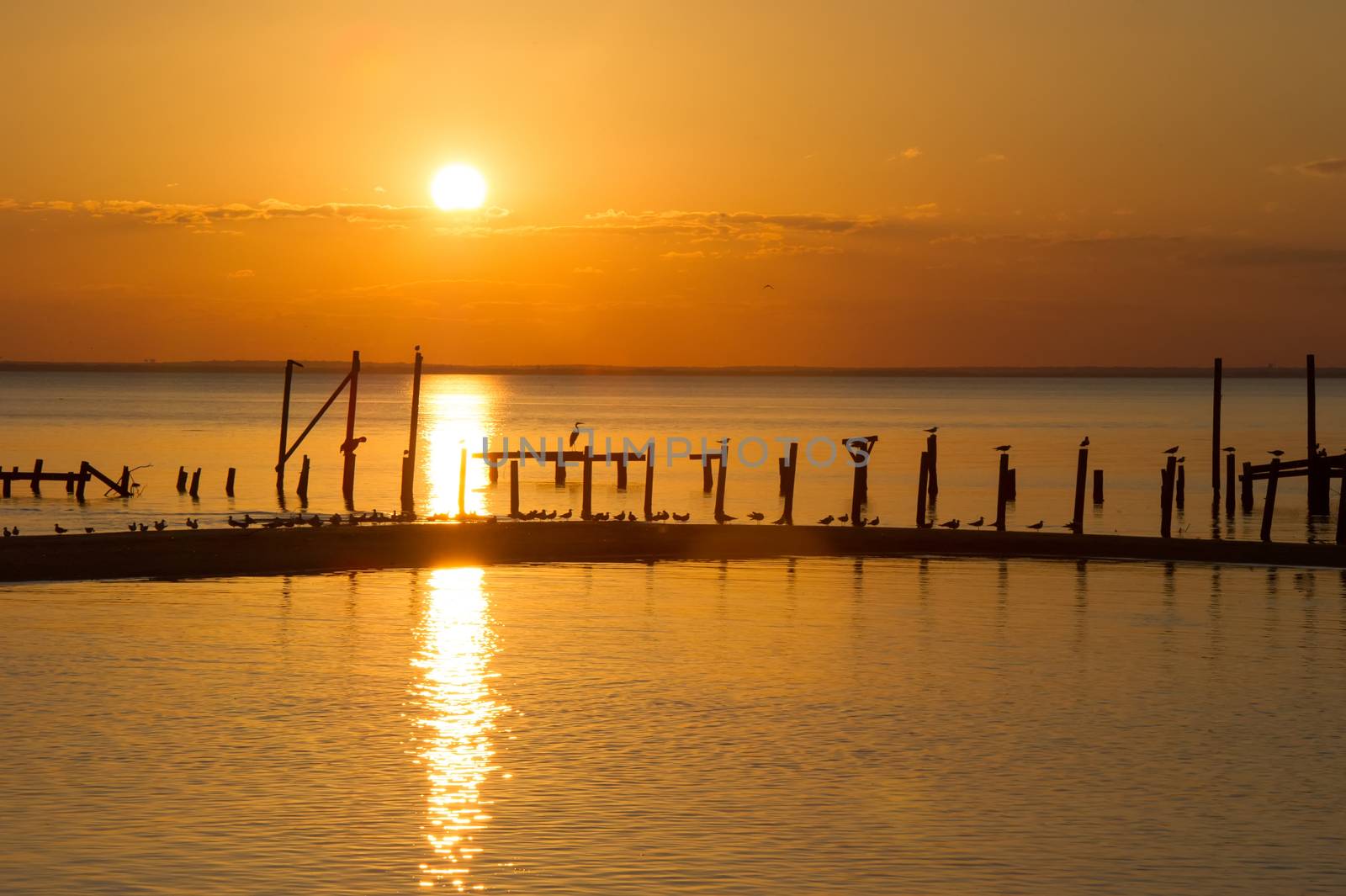 Sun setting on the bay with pier and birds by gregory21