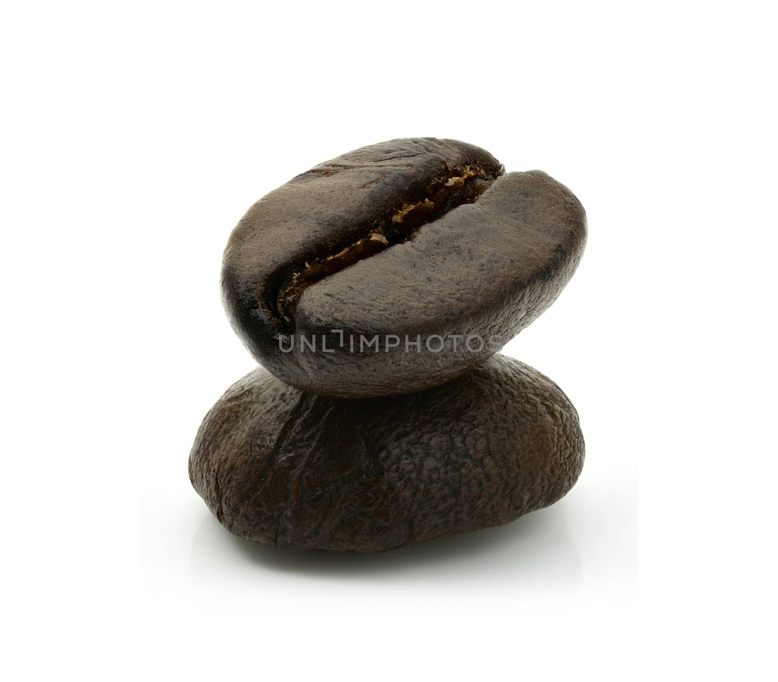 Coffee beans on a white background