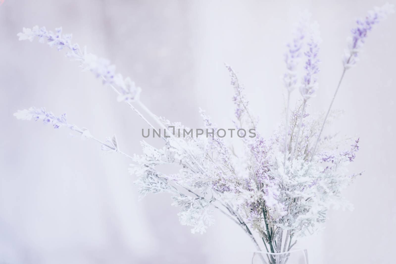 Soft purple vintage florals in clear glass vase, selective focus.