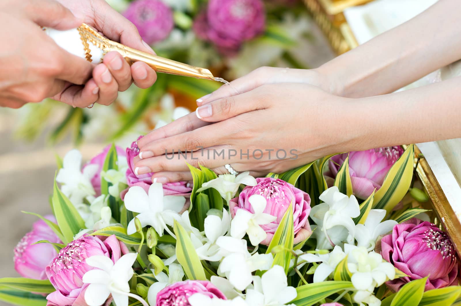 Thai wedding watering ceremony, hand of a bride receiving holy water from elders in thai culture wedding ceremony