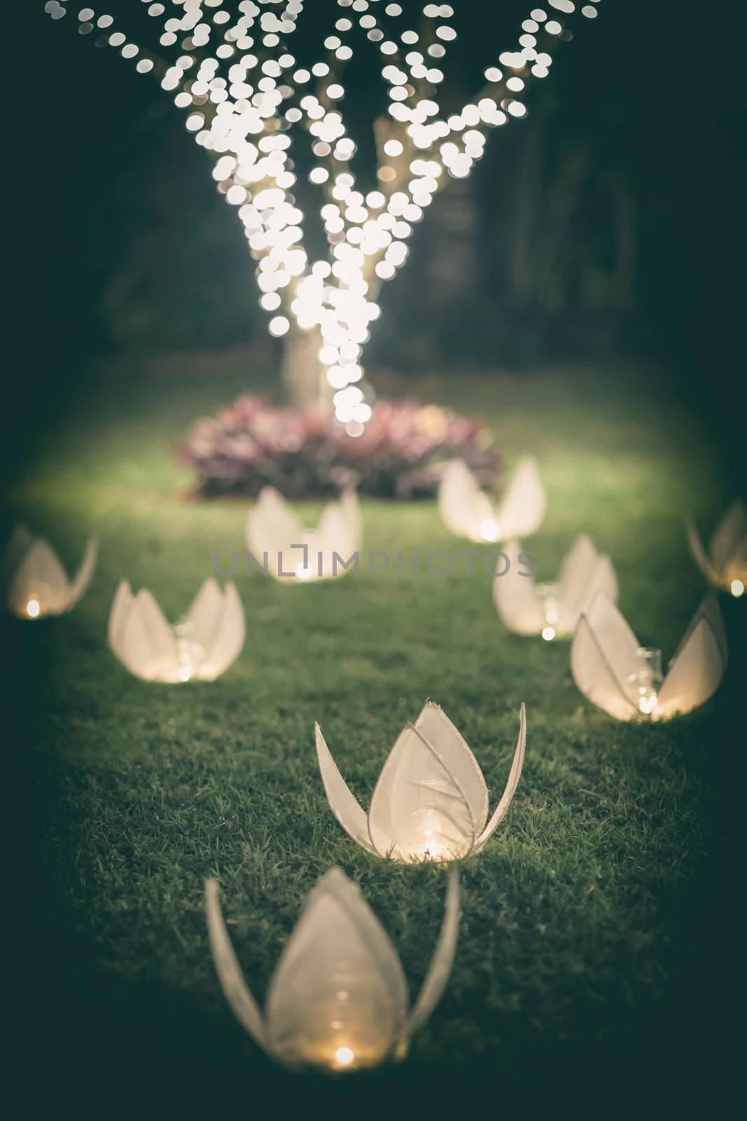 Wedding decorations by hkt83000