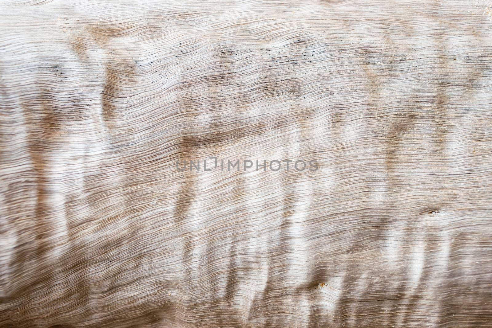 Abstract wood texture background by hkt83000