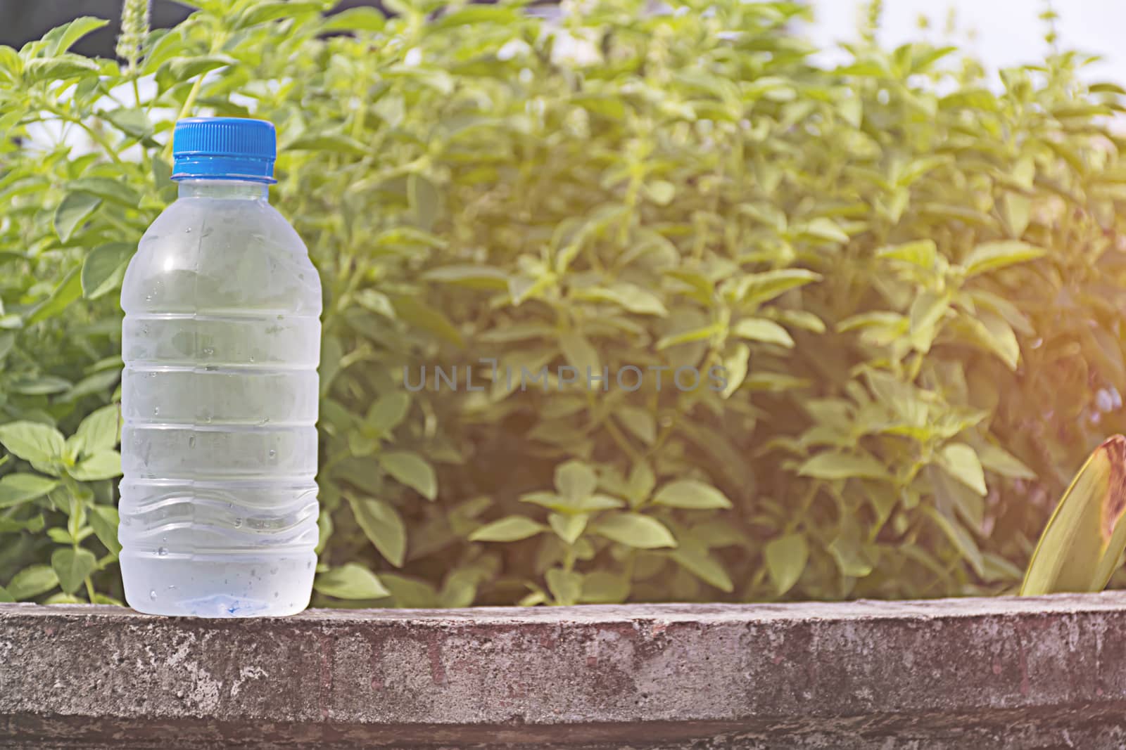 Water bottle on concrete floor with nature background. refresh and recover energy concept.