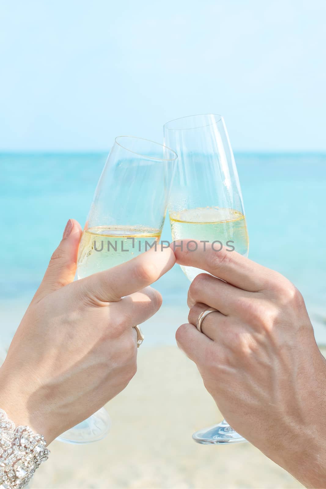 Wine toasting, sea sand sky background