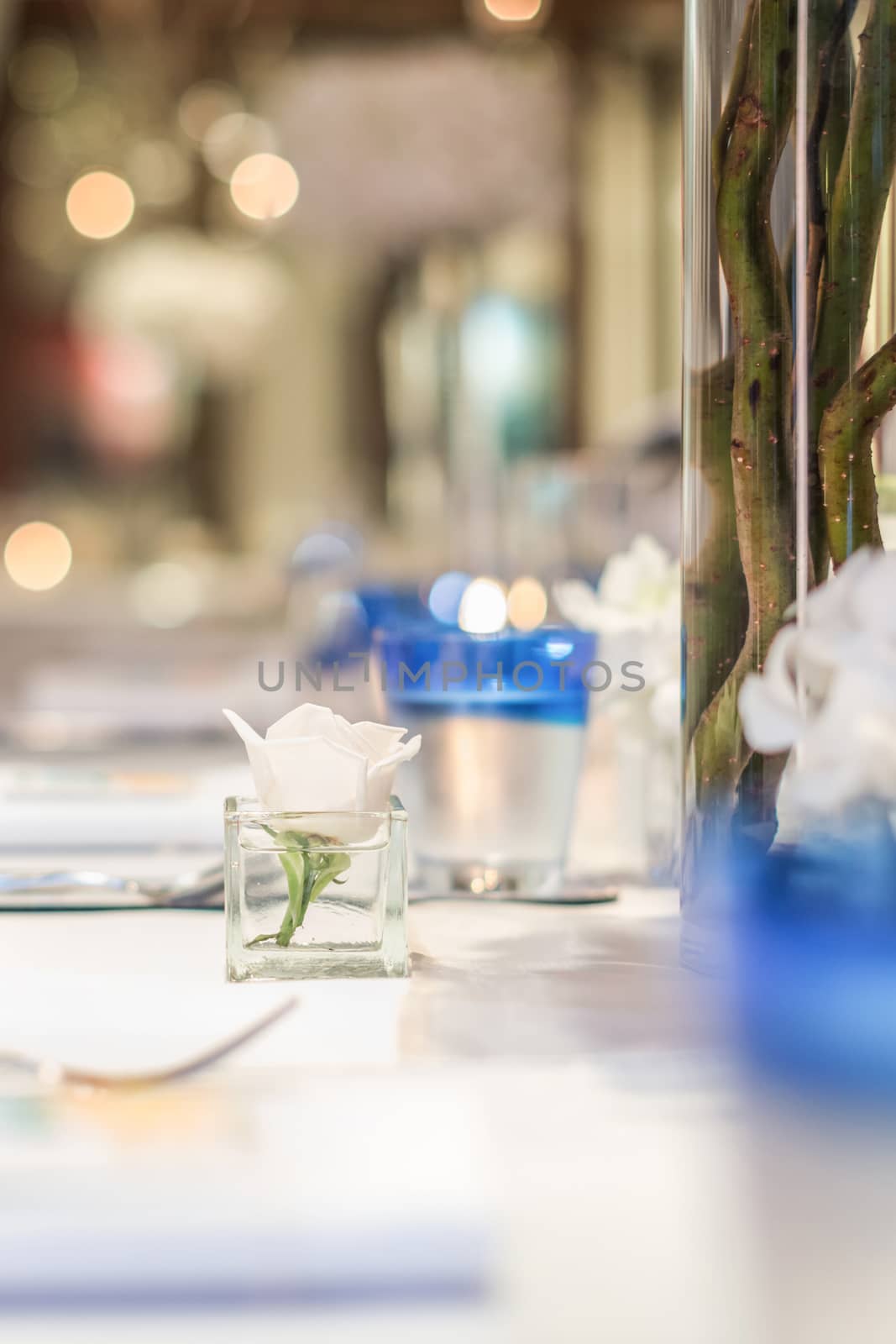 White rose in square cup on dining table setup by hkt83000