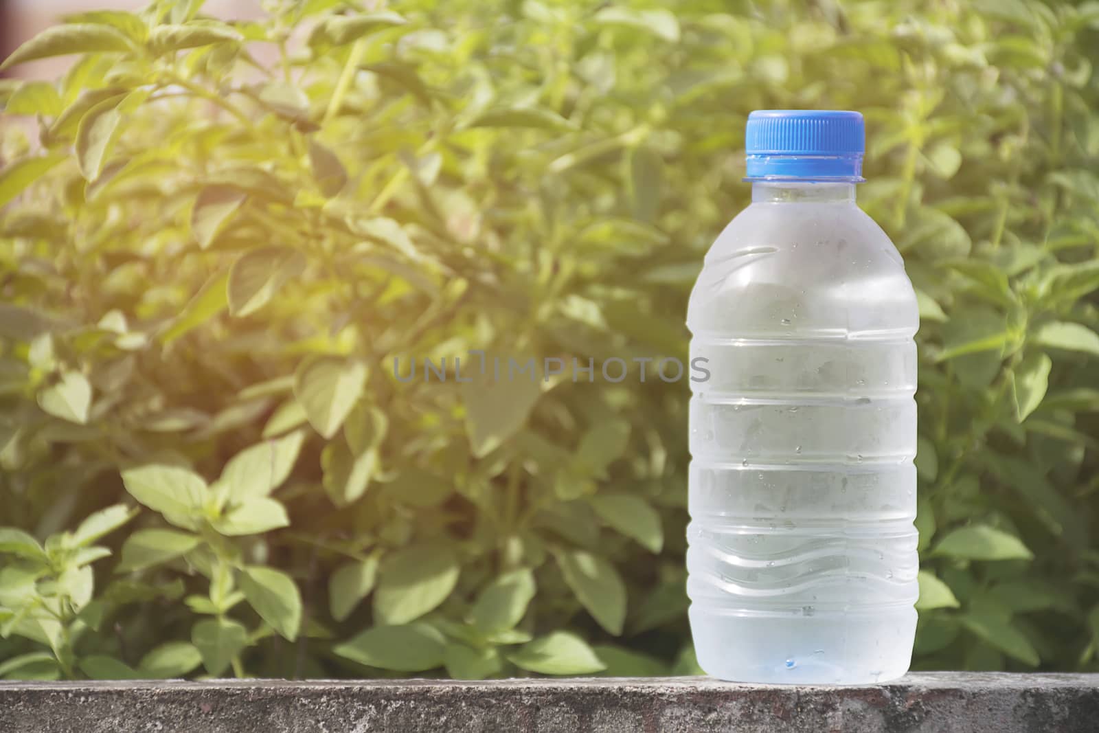 Water bottle on concrete floor with nature background. refresh and recover energy concept.