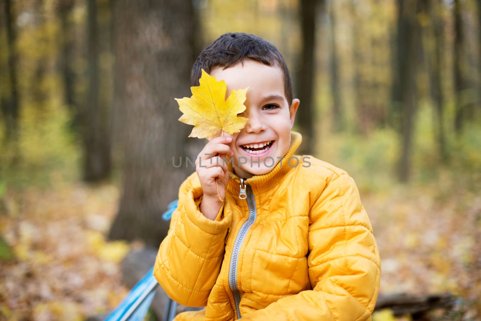 Cheerful boy smiling and hiding behind yellow leaf by kzen