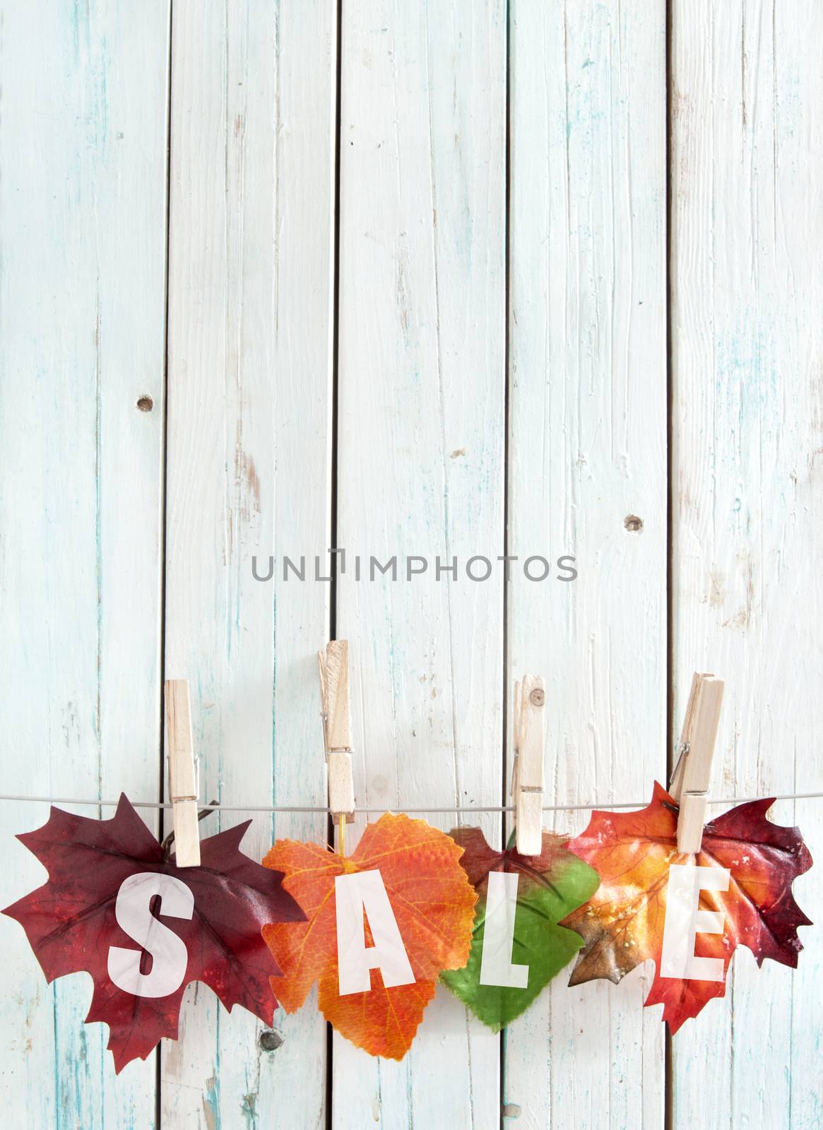 Autumn sales leaves hanging on a clothes line with pegs against a wooden background 