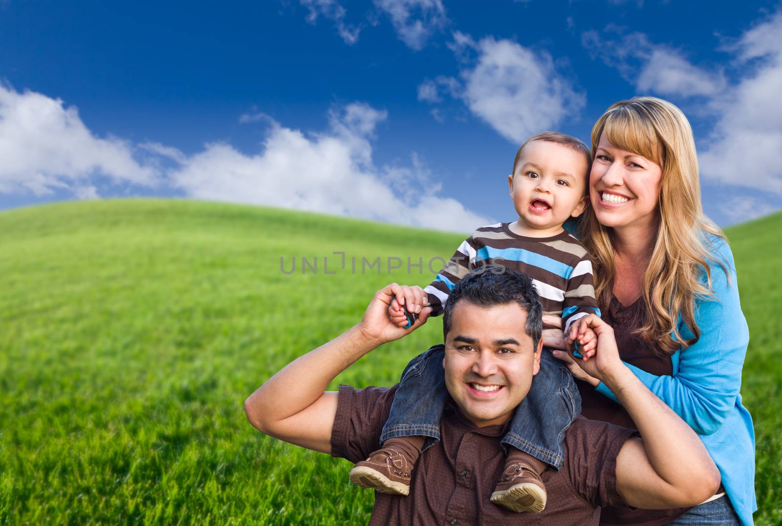 Happy Mixed Race Family In Green Grass Field