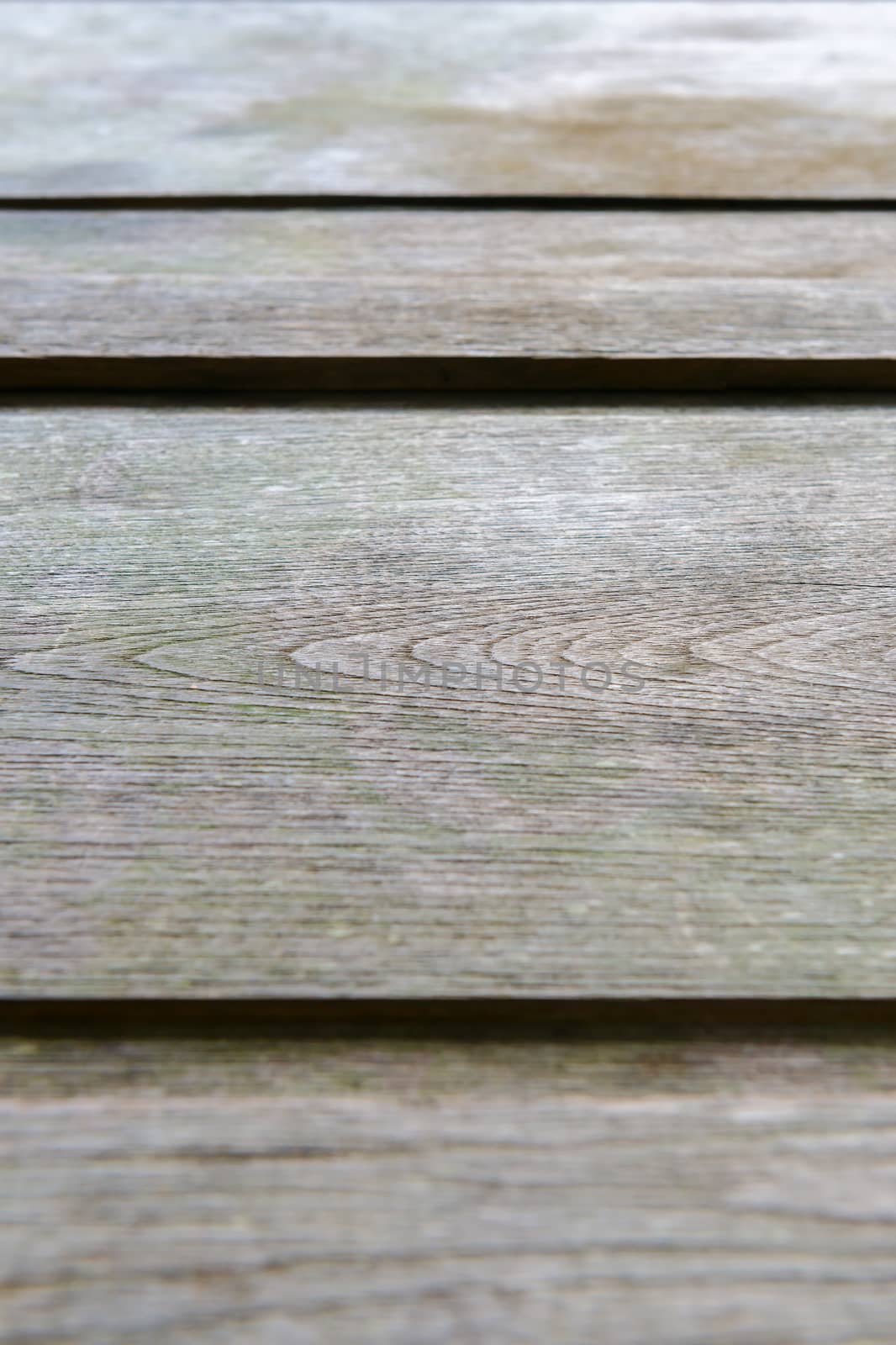 The beautiful texture old wooden background. Selective focus.