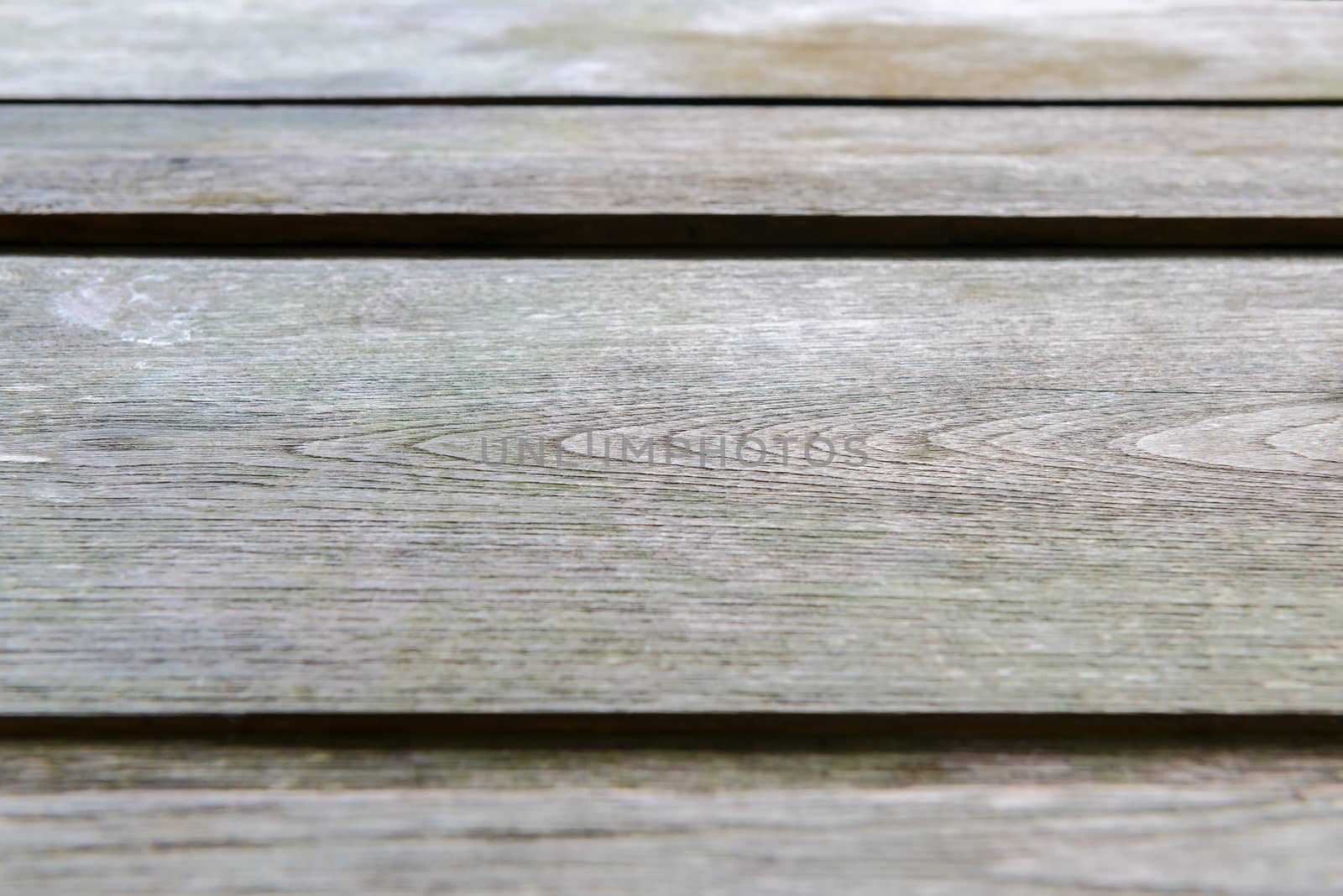 The beautiful texture old wooden background. Selective focus.