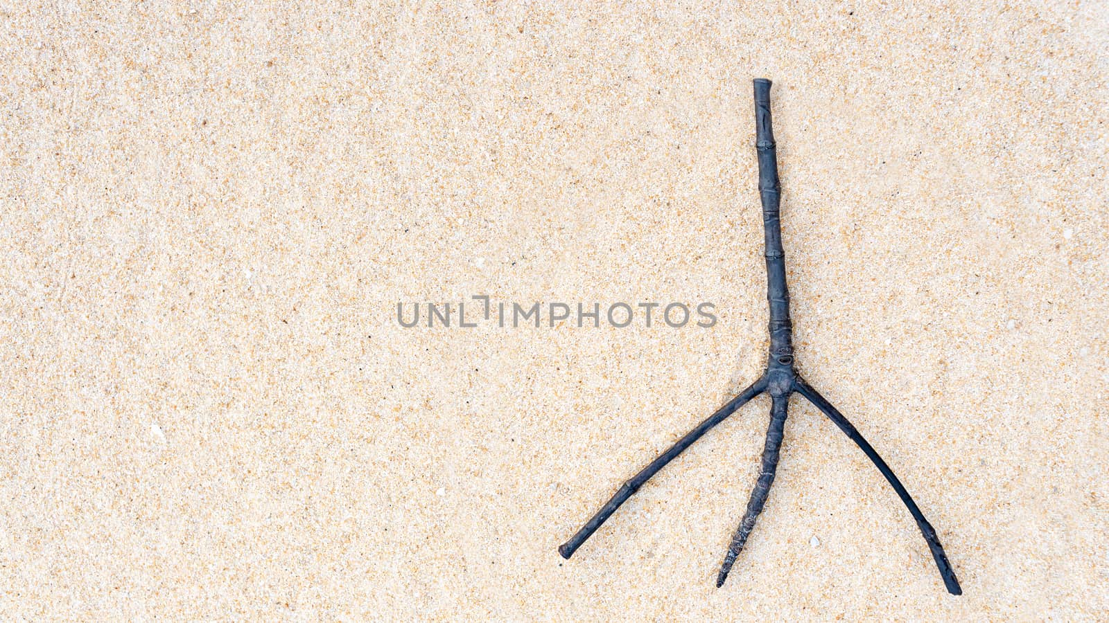 Twig on sand, twig look like Eiffel Tower.