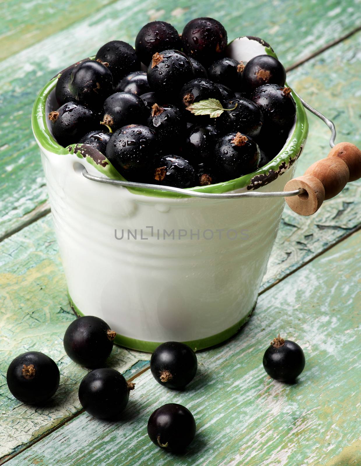 Fresh Ripe Berries of Blackcurrant with Small Leaf in White Garden Bucket closeup on Cracked Wooden background
