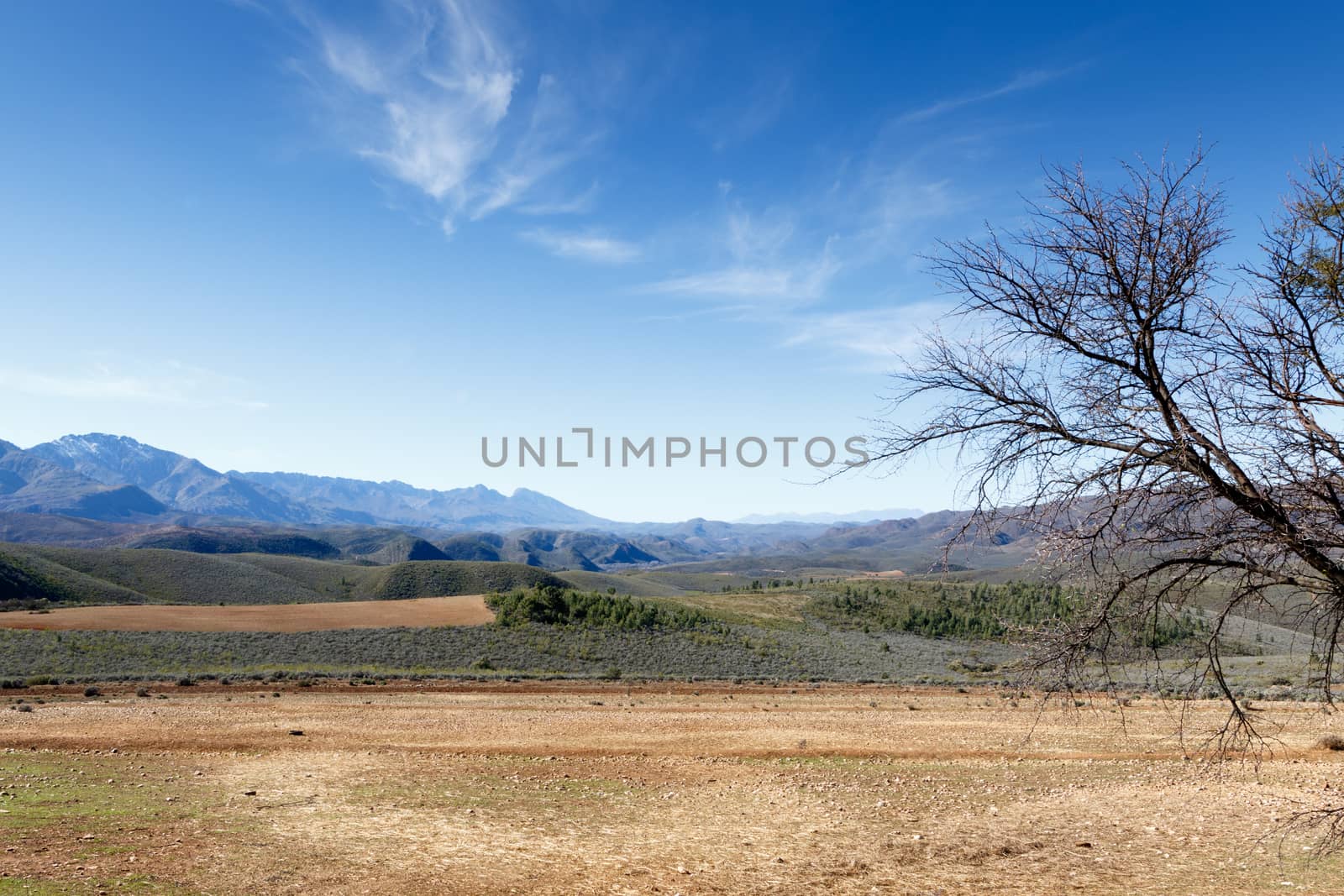 Clouds are talking to trees in The Swartberg Nature Reserve - The Swartberg mountains are a mountain range in the Western Cape province of South Africa. It is composed of two main mountain chains running roughly east-west along the northern edge of the semi-arid Little Karoo.