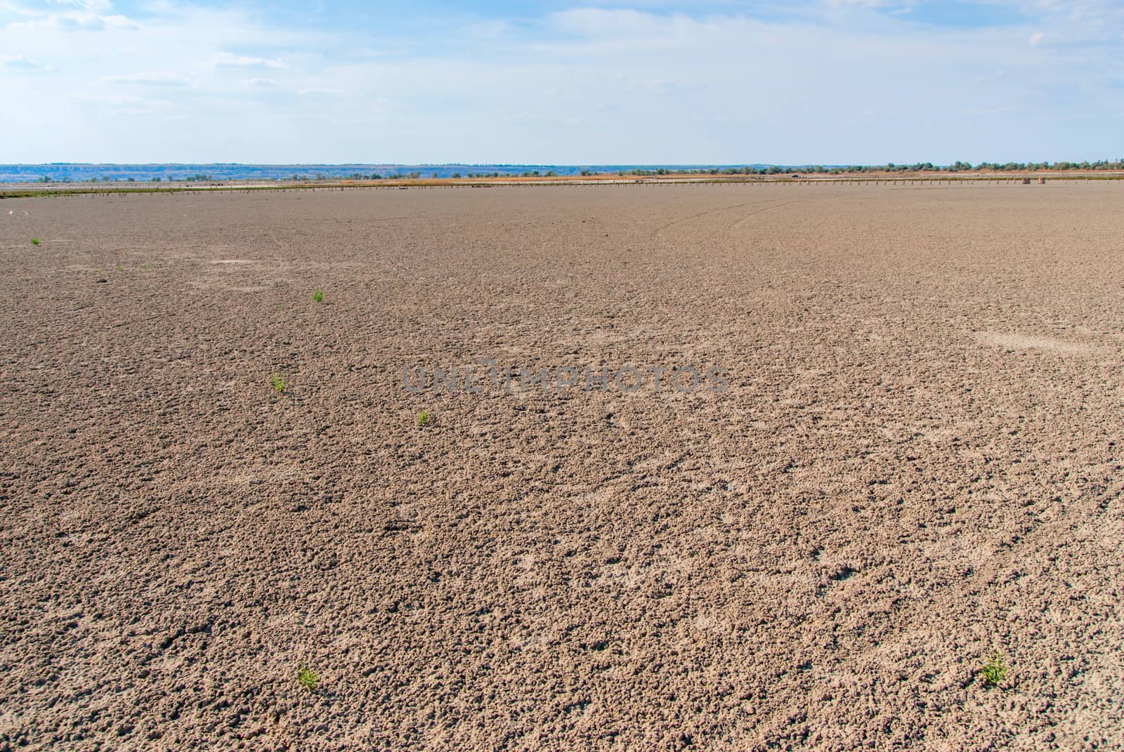 Dried salt lake shore by Zhukow