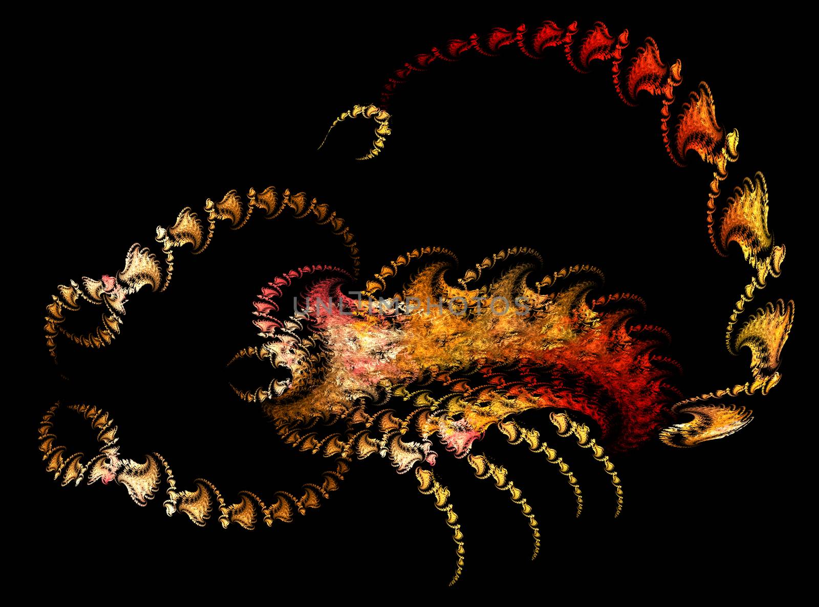 Fractals, abstract Scorpion on a black background by Gaina