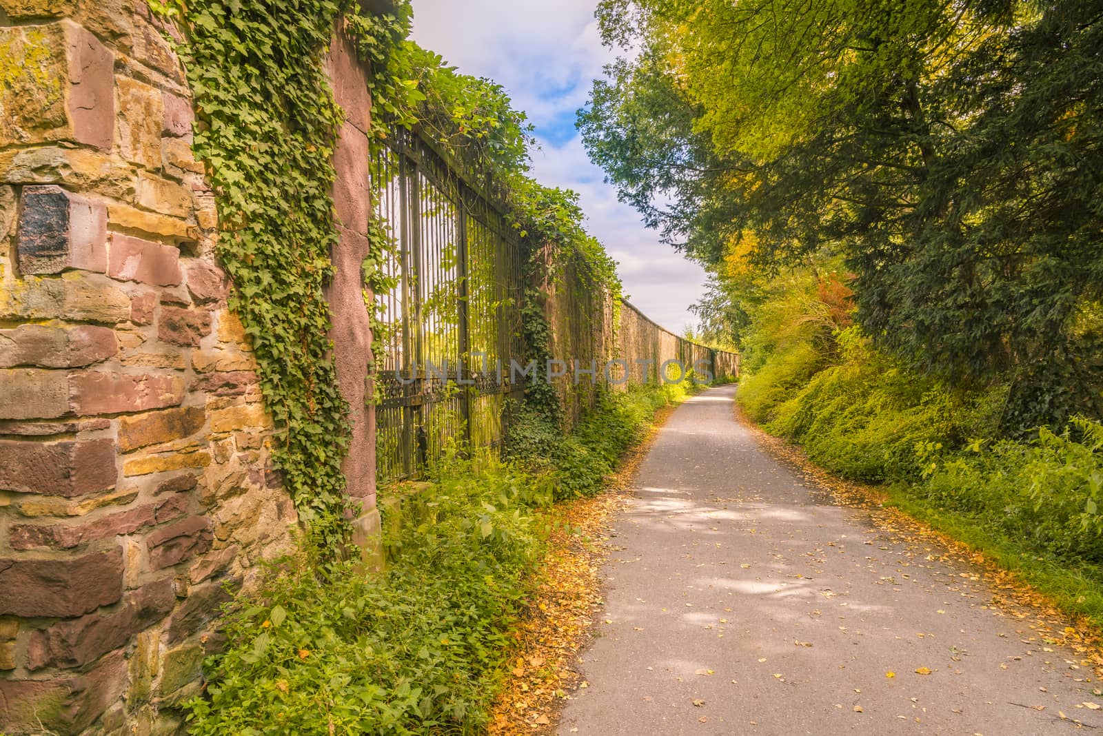 Colorful scenery with a path that separates the forest from an old stone wall, on a sunny day of autumn.