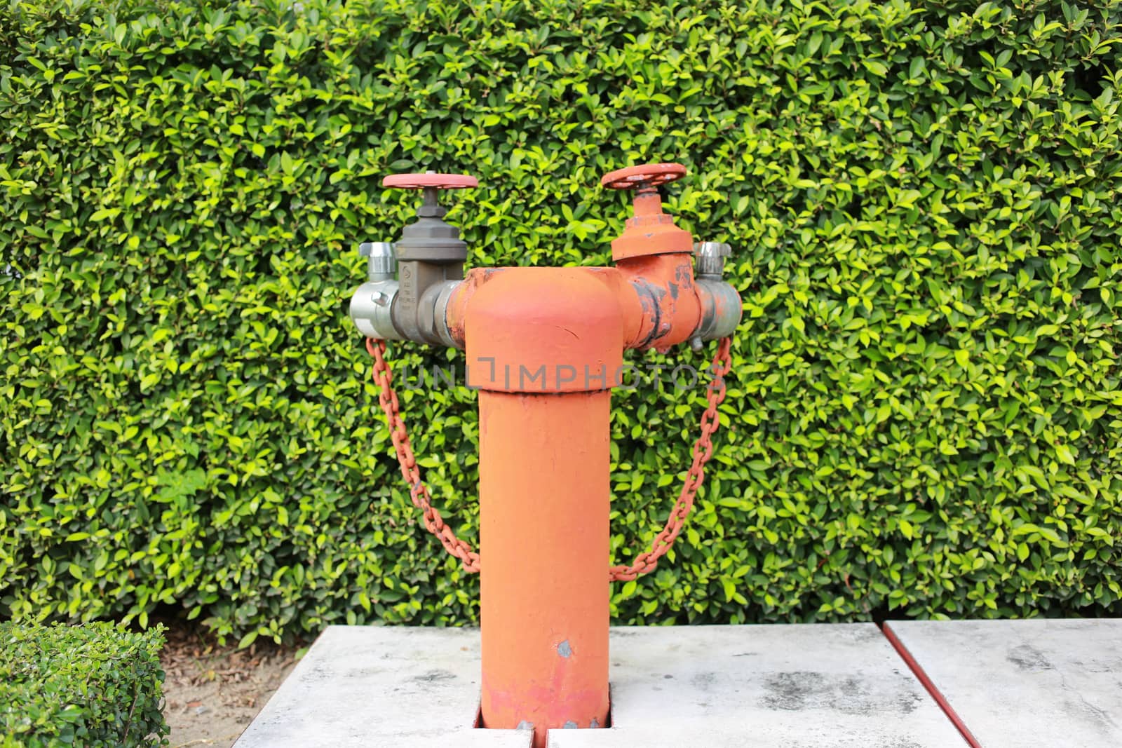 big red water regulator valve with green plant background