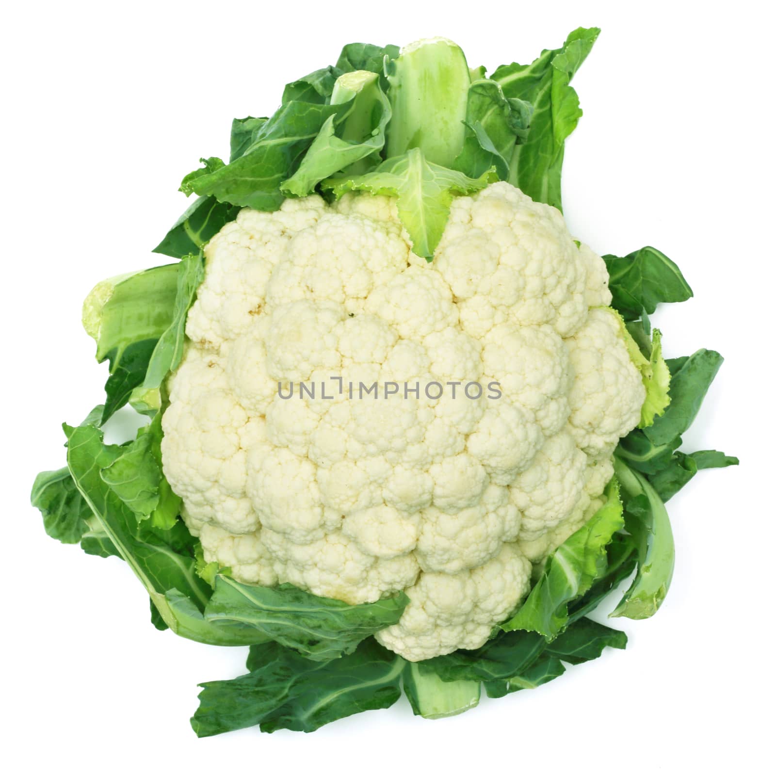 Cauliflower isolated on white background by destillat