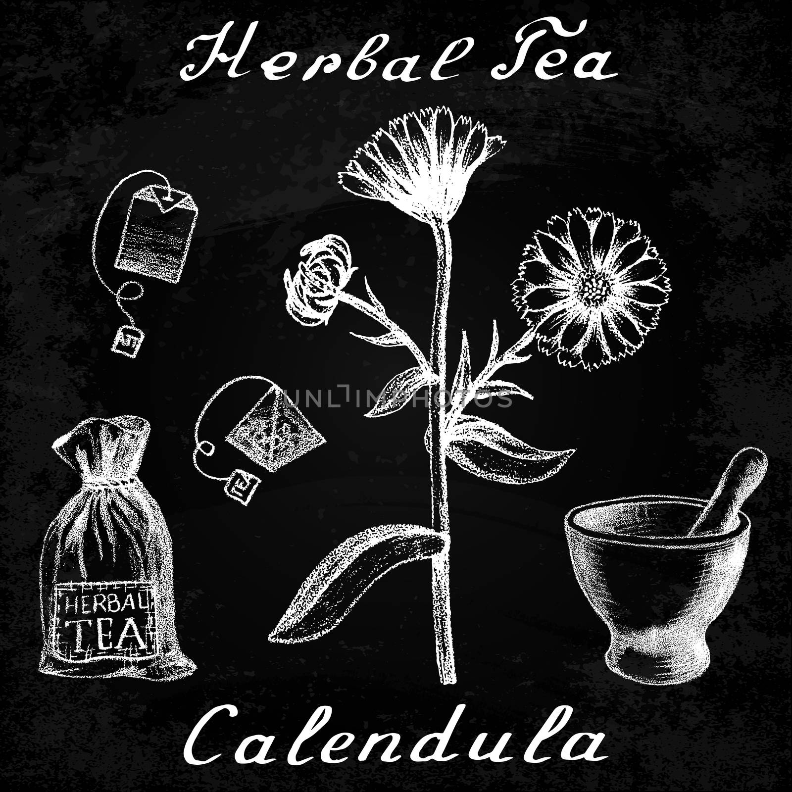 Calendula hand drawn sketch botanical illustration. Utensils for tea. Vector illustation. Medical herbs. Effect of chalk board. Grunge background