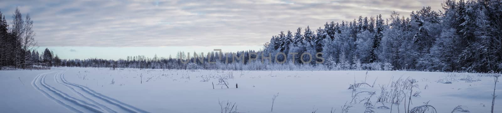 Beautiful evening winter landscape in Northen Russia