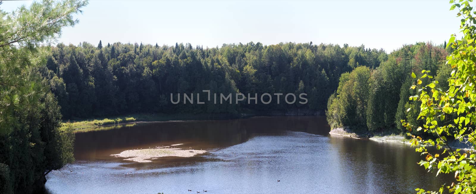 river landscape panorama view beach sunshine summer green trees