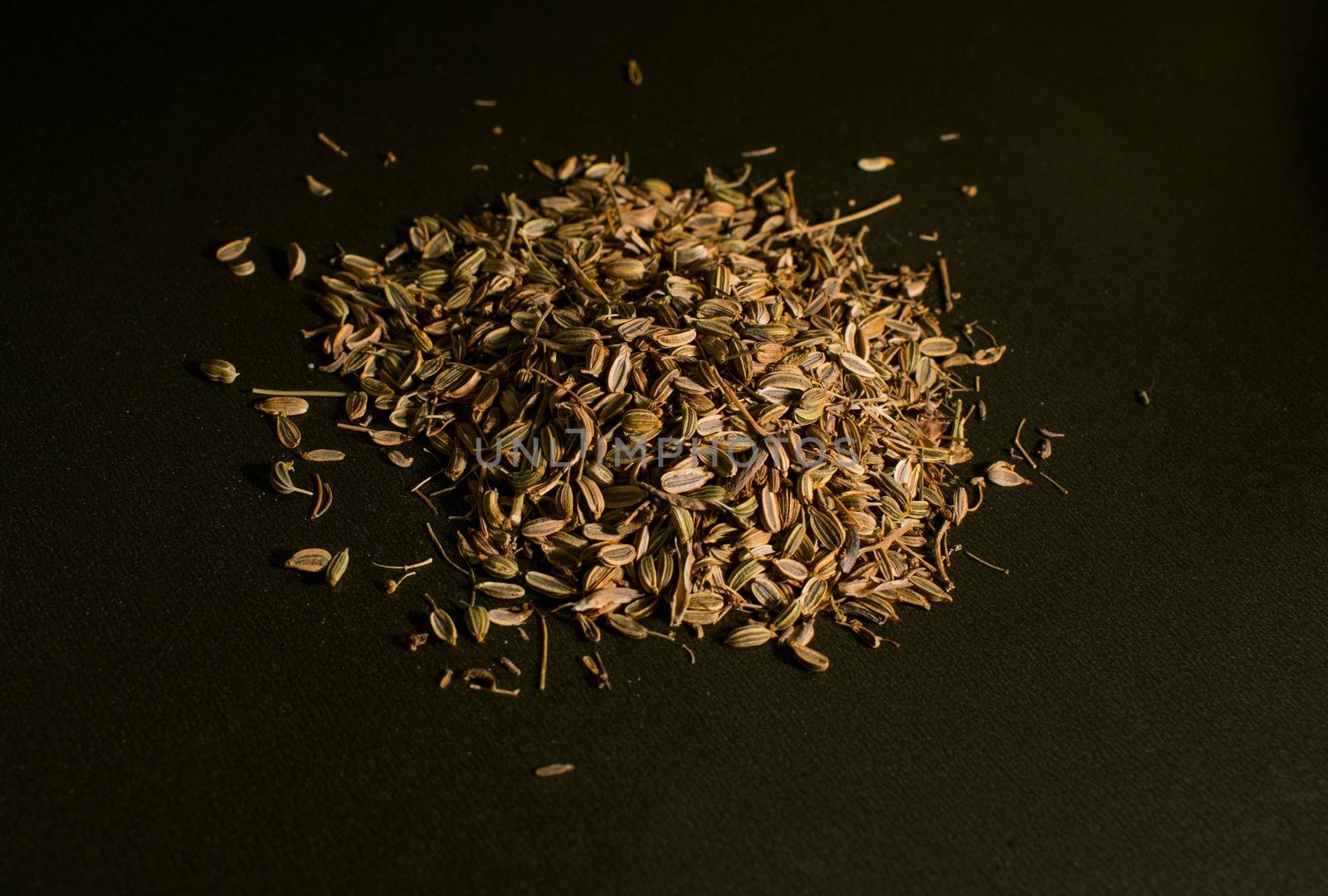 Fennel seeds in a darken background