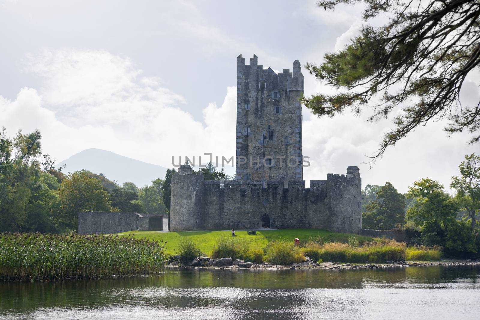 ross castle on the lakes of killarney in county kerry ireland