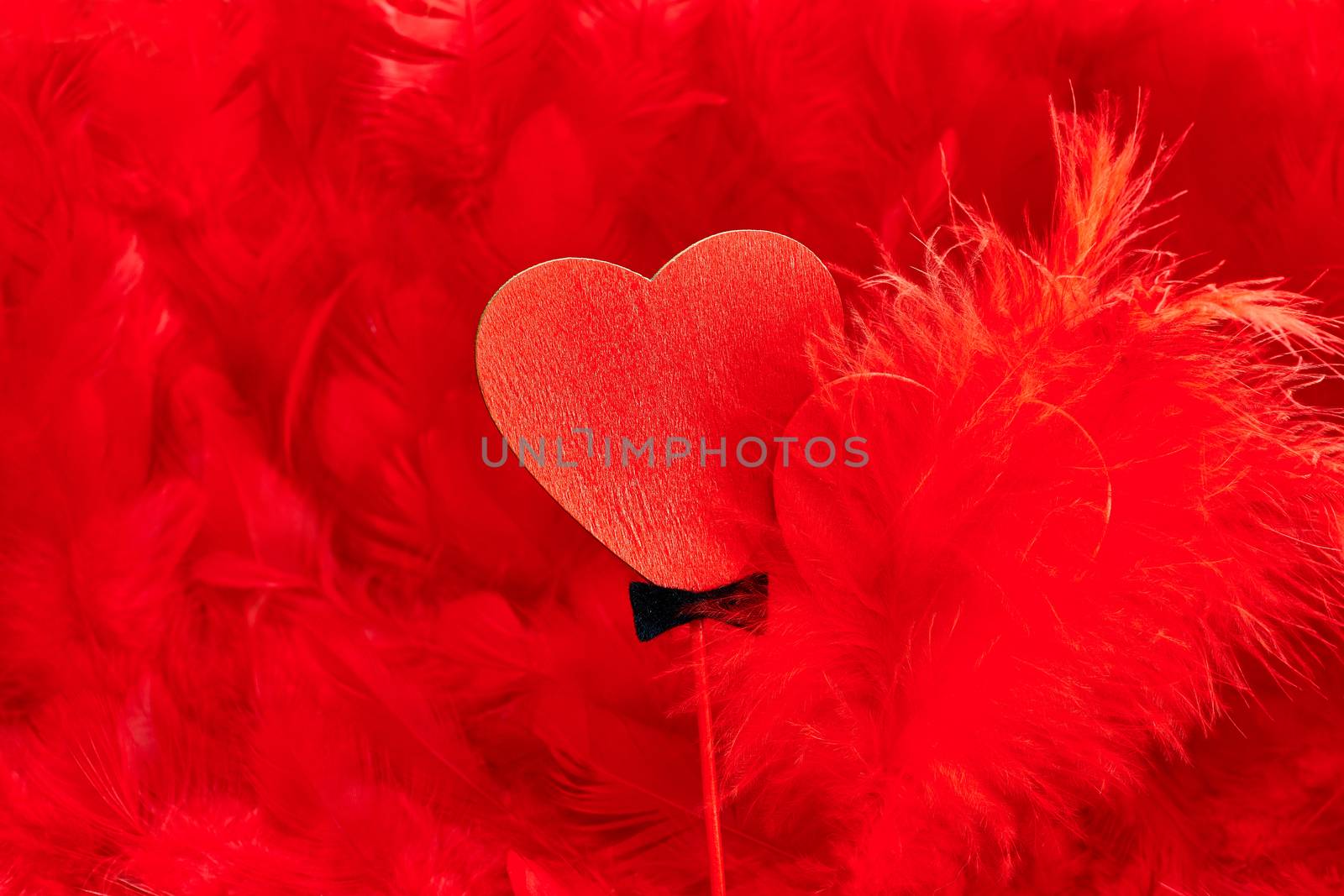 Love hearts. Valentines Day. Couple on beautiful red feathers background. Vintage romantic style. Vivid greeting card, copyspace.  