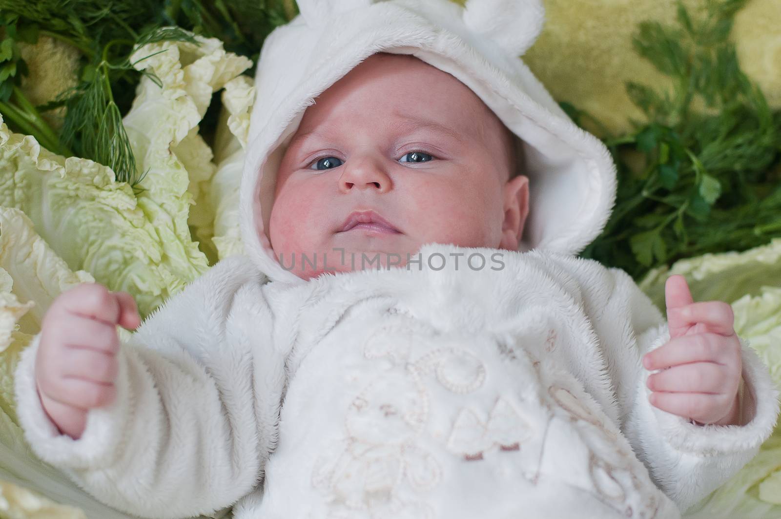 Little thoughtful baby lays on cabbage leaves