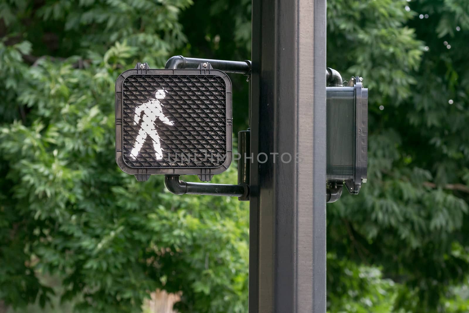 Signal letting the pedestrian know it's okay to walk