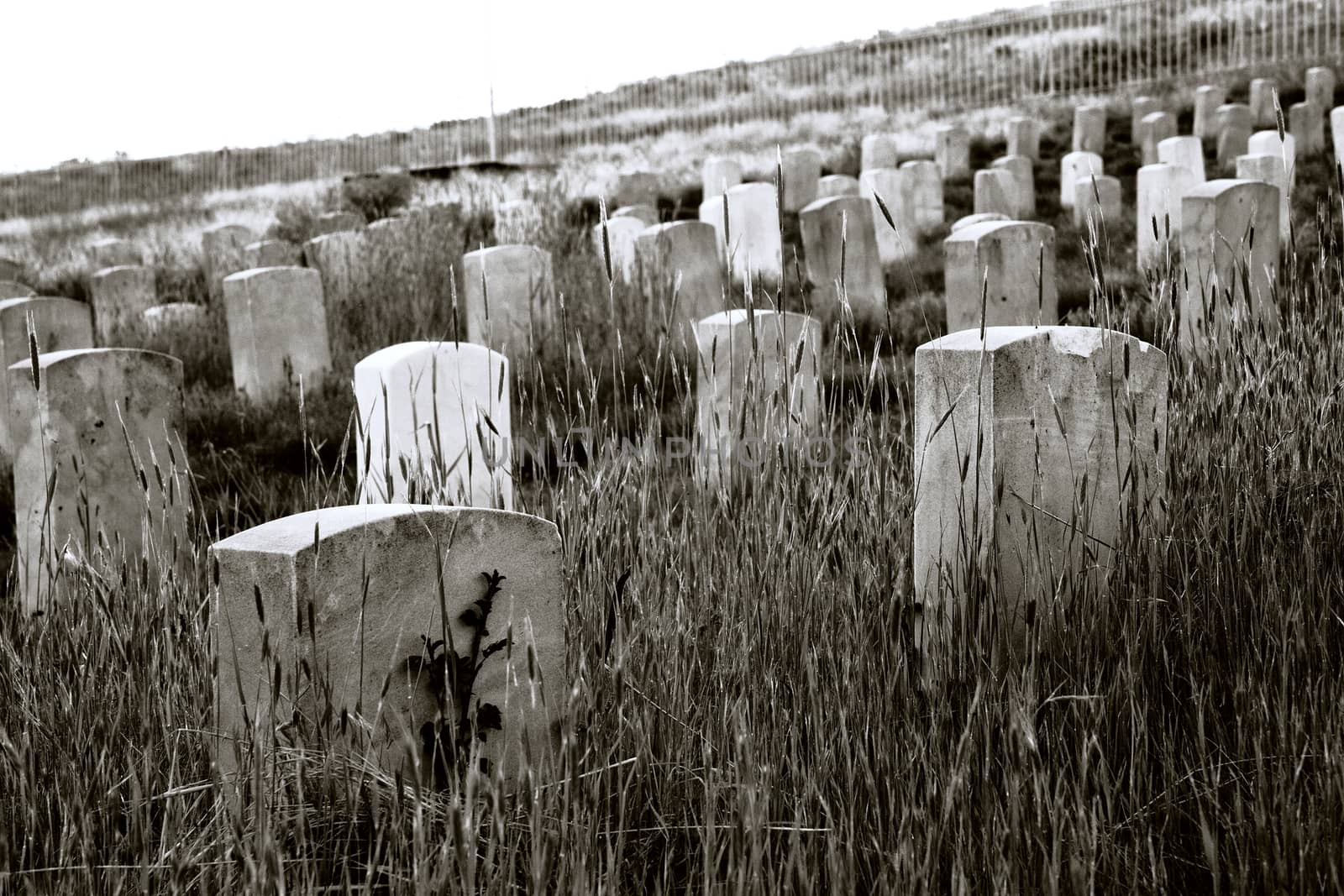 cemetary from prior to the 1900's holding many dead soldiers