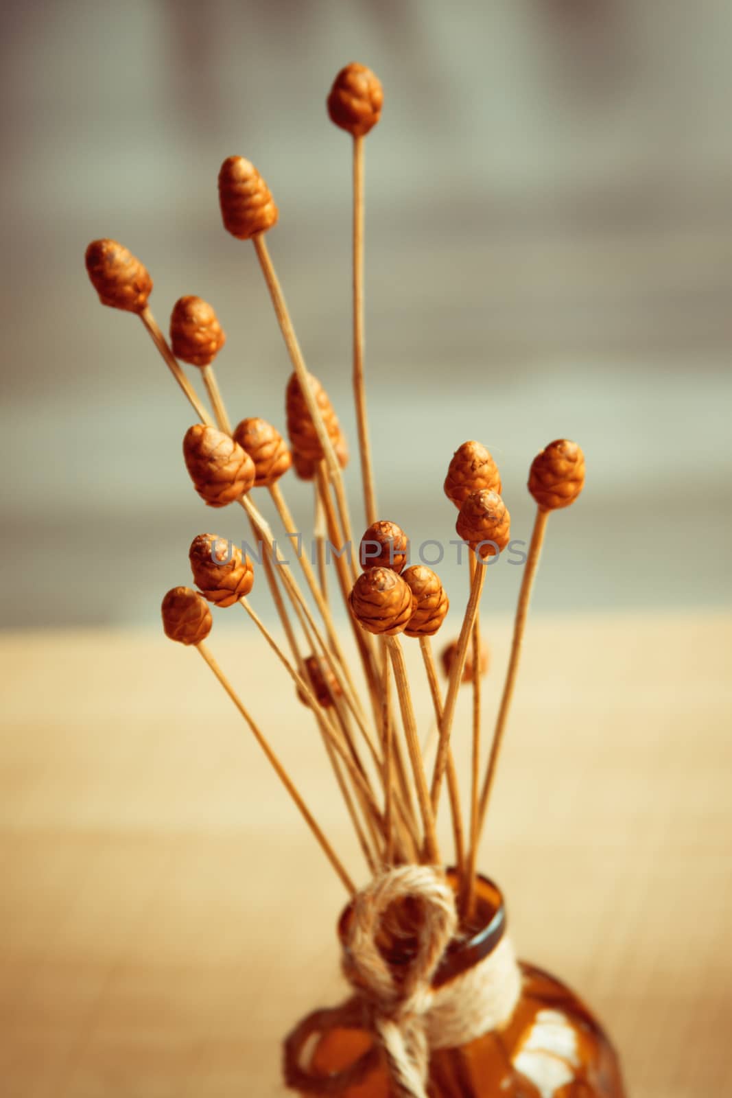 Dry grass flower with vase on wood background