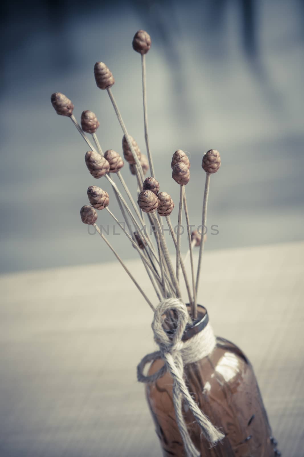 Dry grass flower with vase on wood background