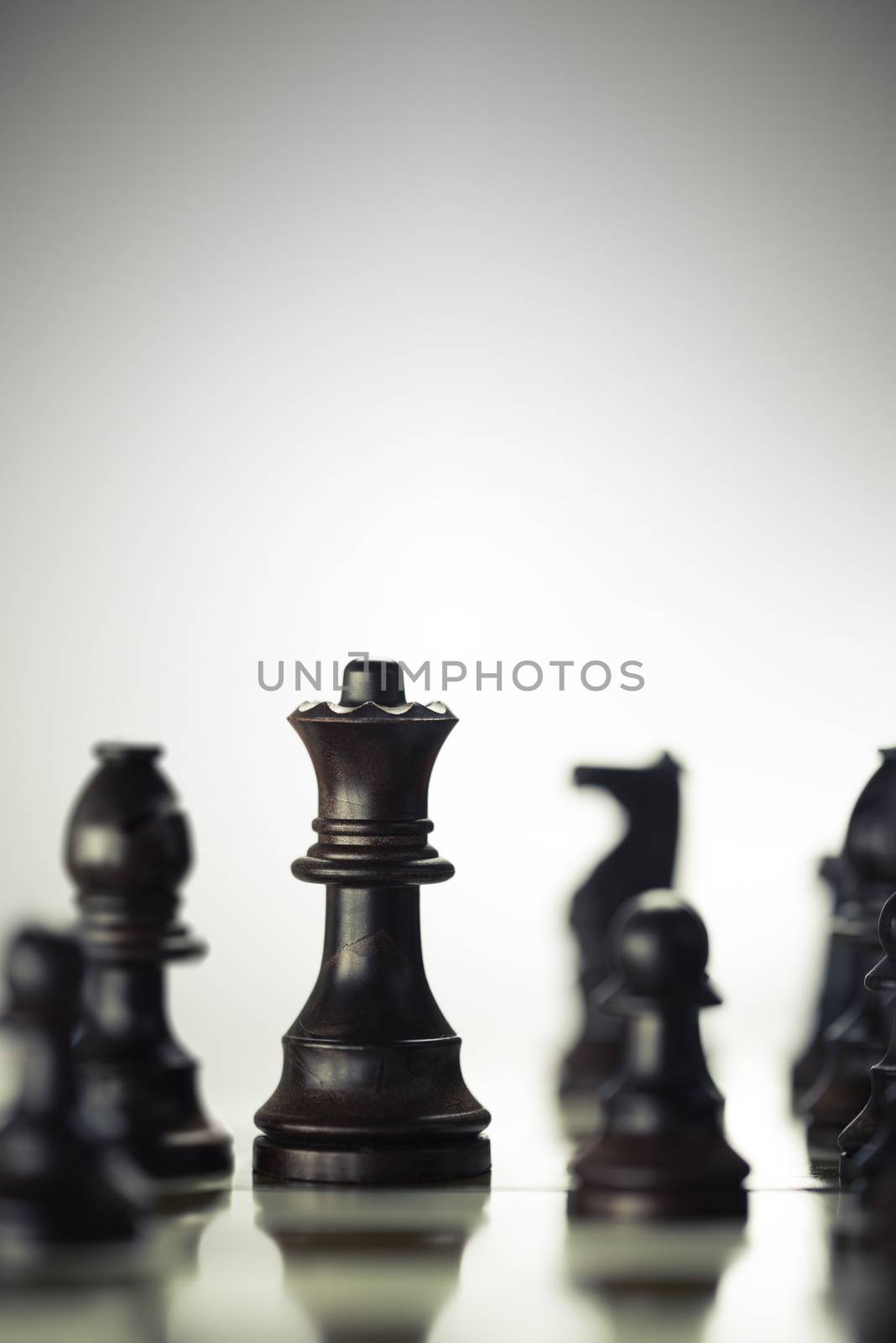 Vertical image of a chess board with focus on the queen over bright background, Concept of risk management or strategic business.