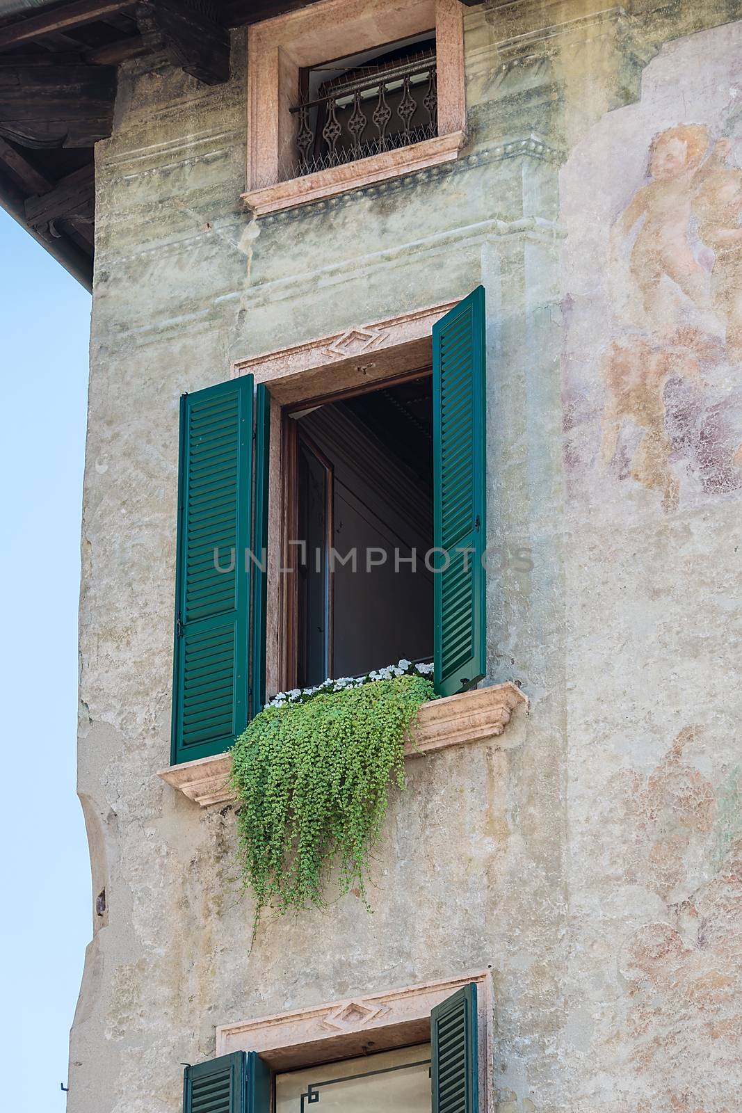 old window in the house with flowers