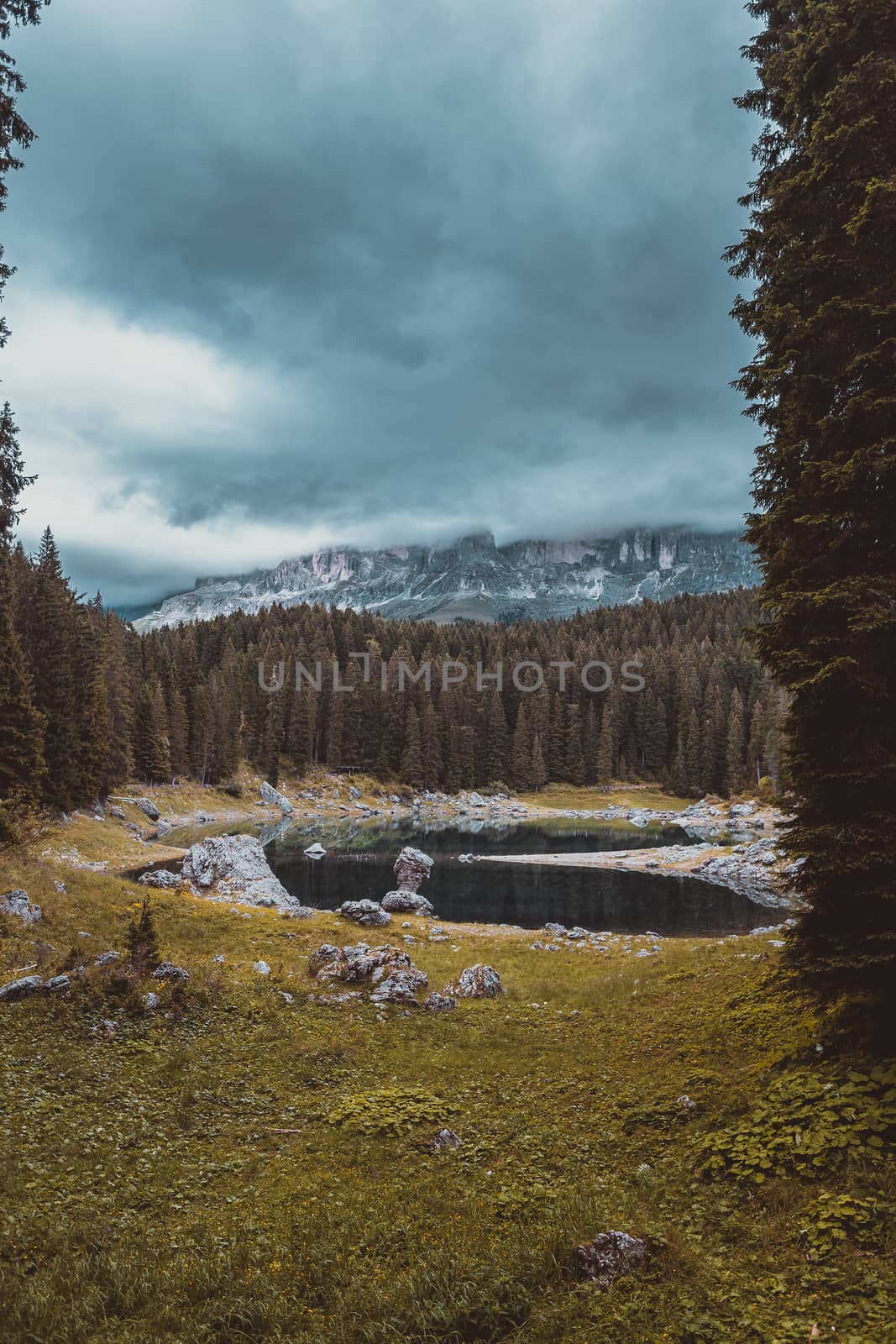 landscape the wild nature lake Misurina in the Alps