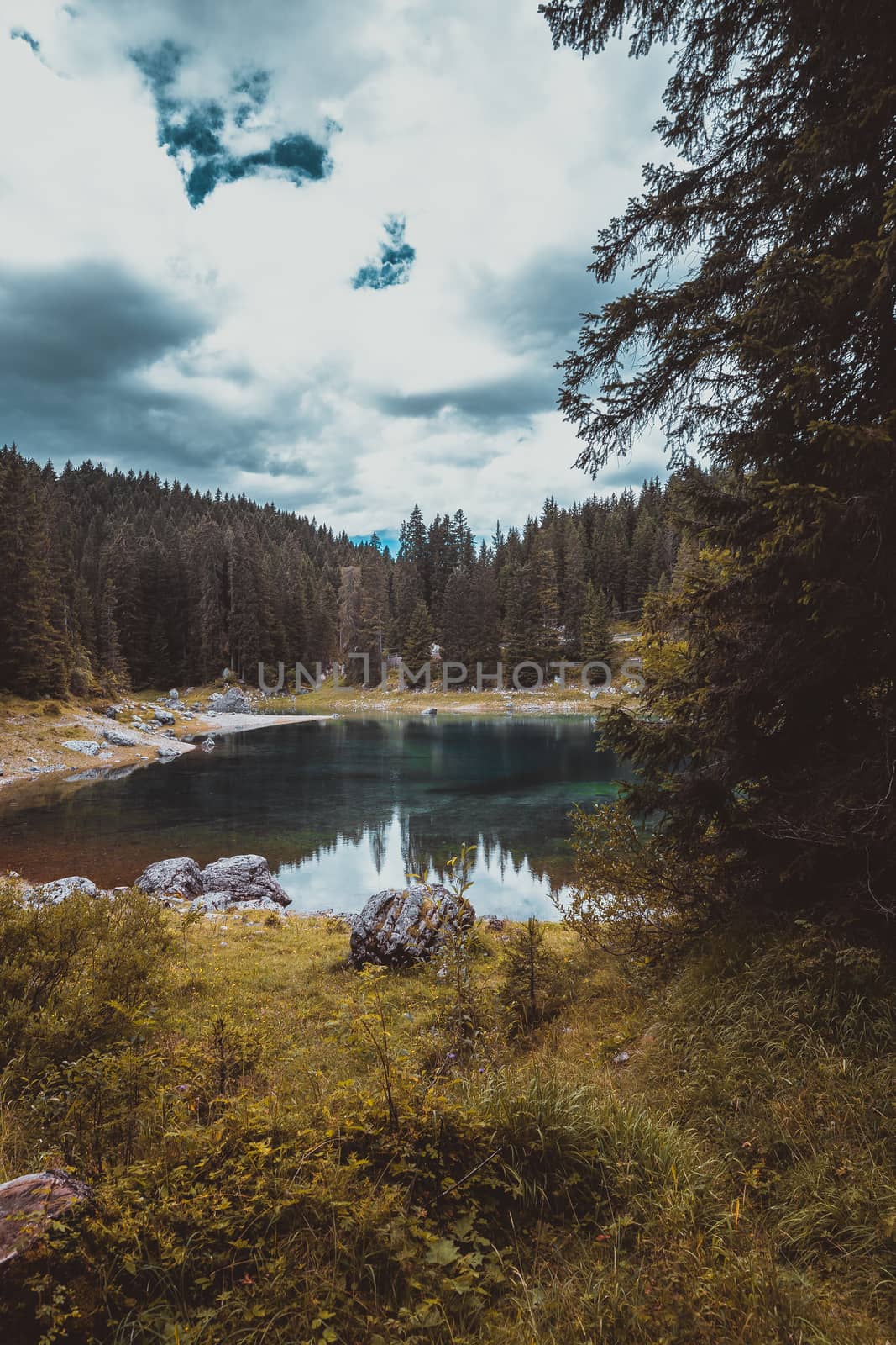 landscape the wild nature lake Misurina in the Alps