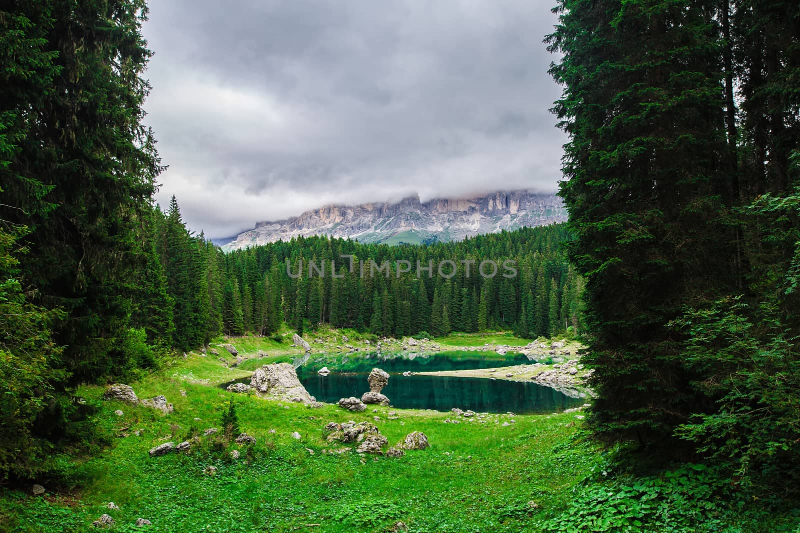 landscape the wild nature lake Misurina in the Alps