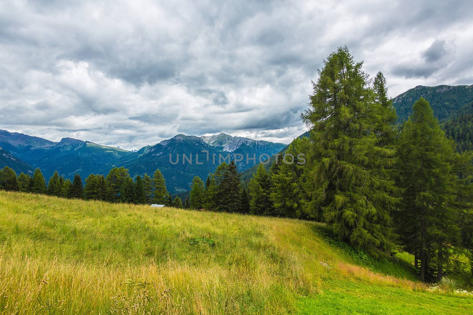 landscape of the Alps in Italy summer