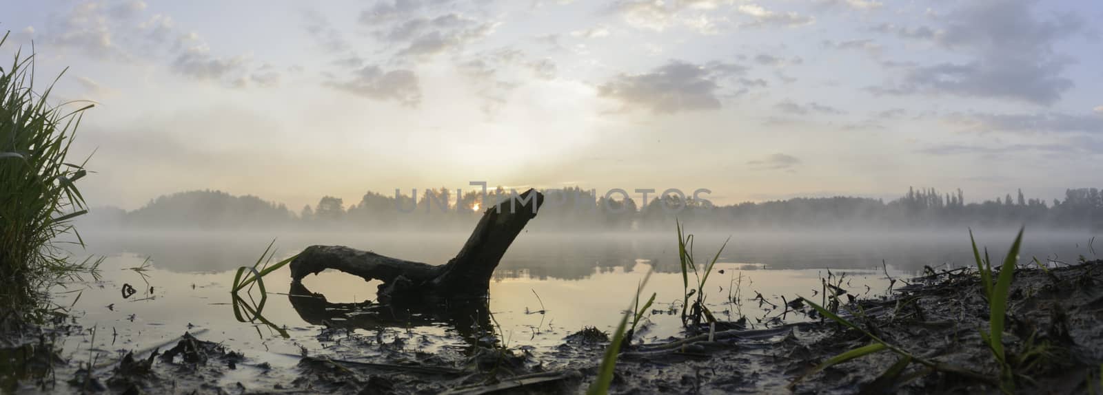 landscape with natural river, nature series