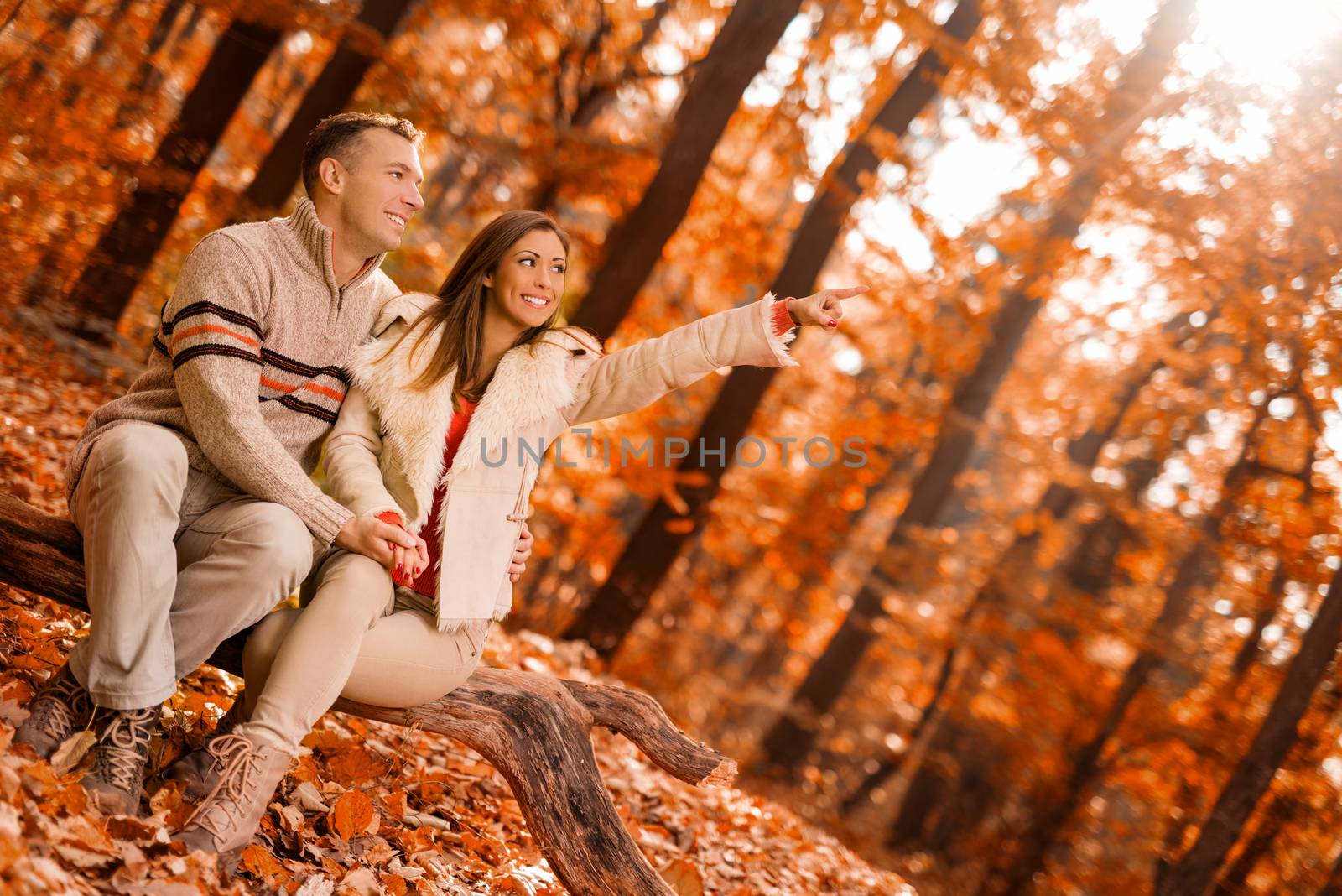 Beautiful smiling couple enjoying in sunny forest in autumn colors.